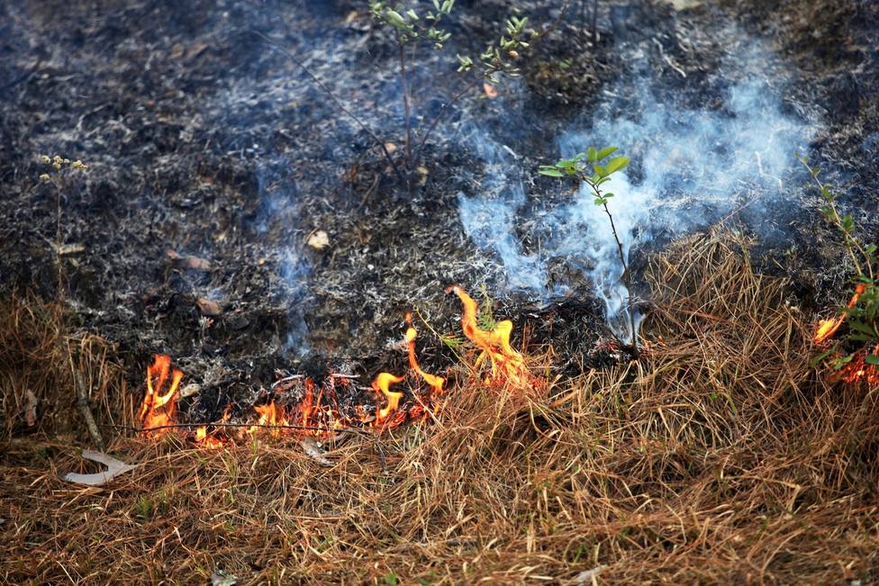 La Xunta prohíbe las quemas agrícolas hasta nuevo aviso