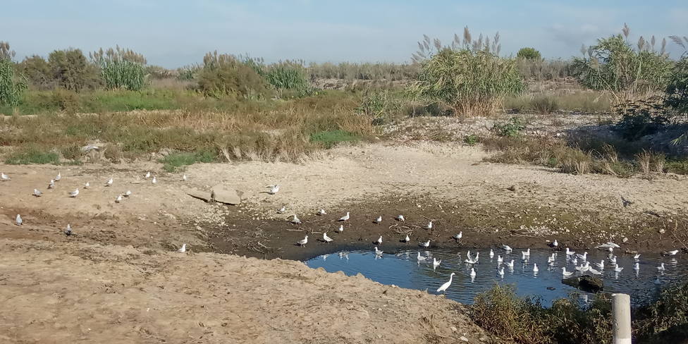 El río Mijares se queda sin caudal ecológico