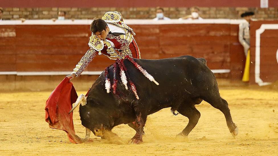 Miguel Ángel Perera toreando a Vitoreado, el toro de Juan Pedro Domecq que indultó en Huelva