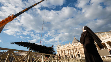 Christmas tree erected at the Vatican