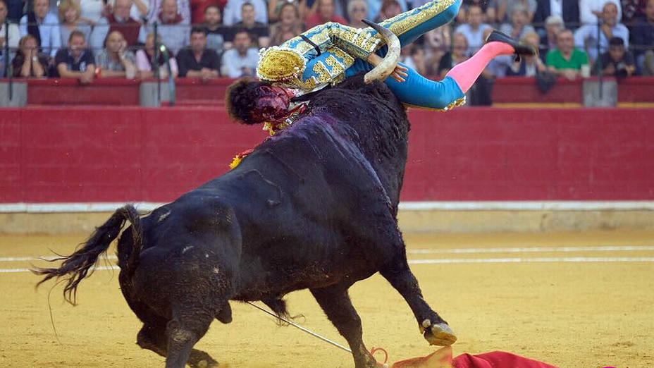 Momento del percance sufrido por Cayetano este miércoles en Zaragoza
