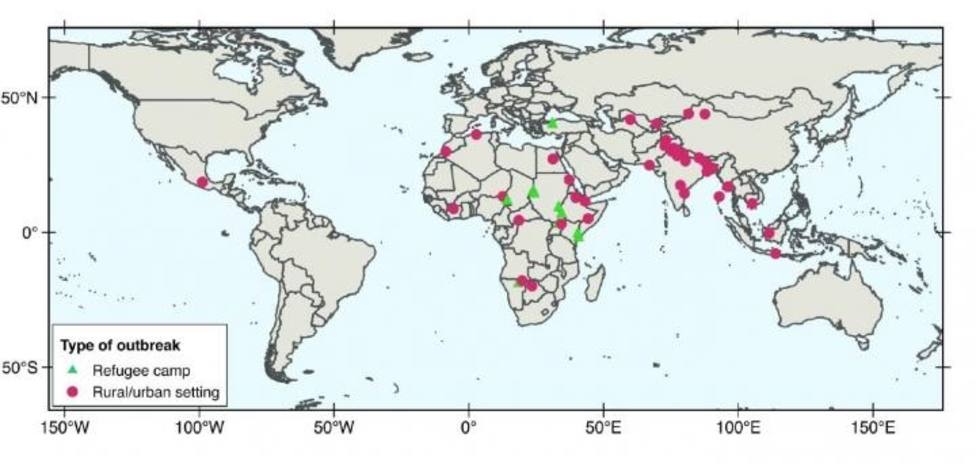 La vía de transmisión de hepatitis E en Europa, China, Japón y América del Norte es la ingesta de carne de cerdo