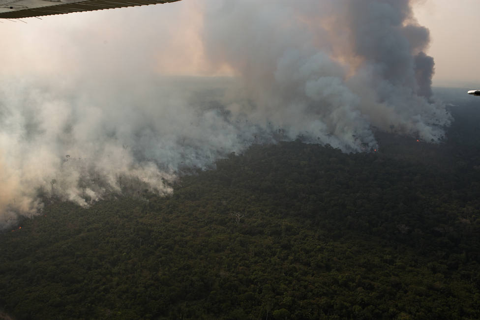 El ministro de Medio Ambiente de Brasil cree una bobada eso de que el Amazonas pertenece a la Humanidad