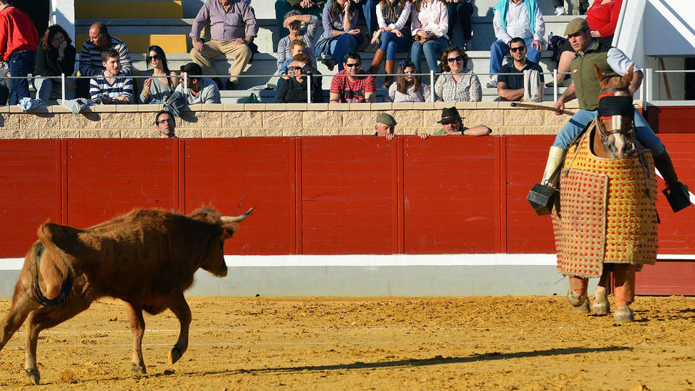 La plaza de toros de La Sagra de Villaseca acogerá desde el 10 de julio los tentaderos del Alfarero de Plata