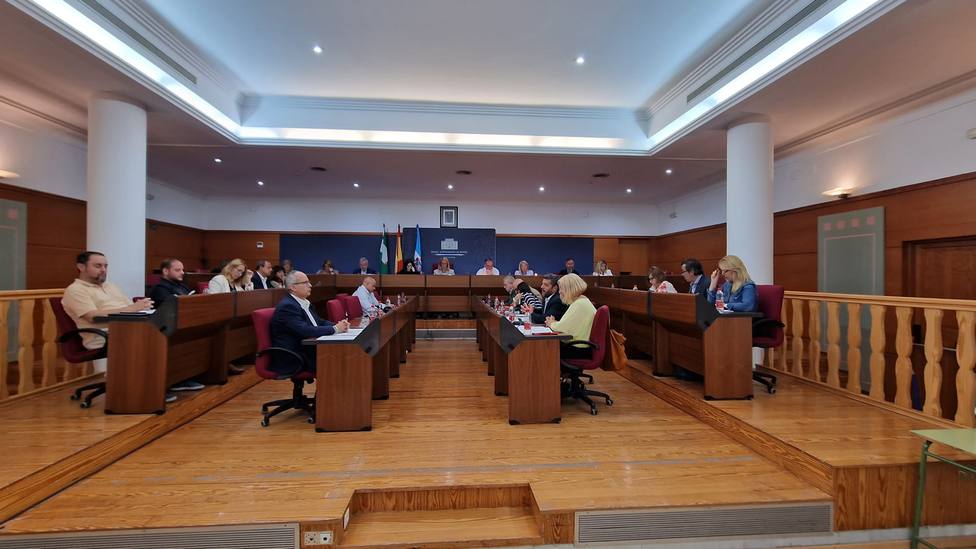 El pleno de Motril aprueba una subvención de 10.000 euros a la Cámara de Comercio para dinamización