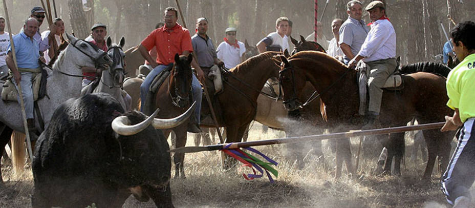 El Torneo del Toro de la Vega dejará de celebrarse como ha sido tradición en Tordesillas en los útlimos siglos. EFE