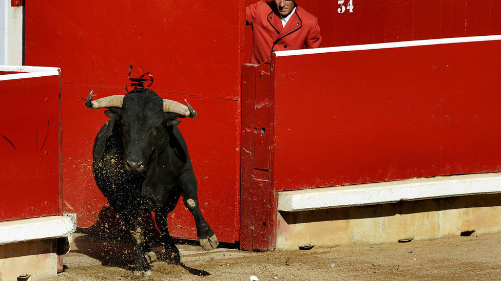 Pamplona ya tiene lista de ganaderías para su Feria del Toro de 2020