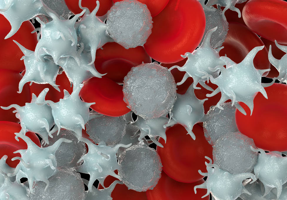 Variabilidad de los glóbulos rojos en el volumen y el tamaño se asocia con mayor mortalidad por covid