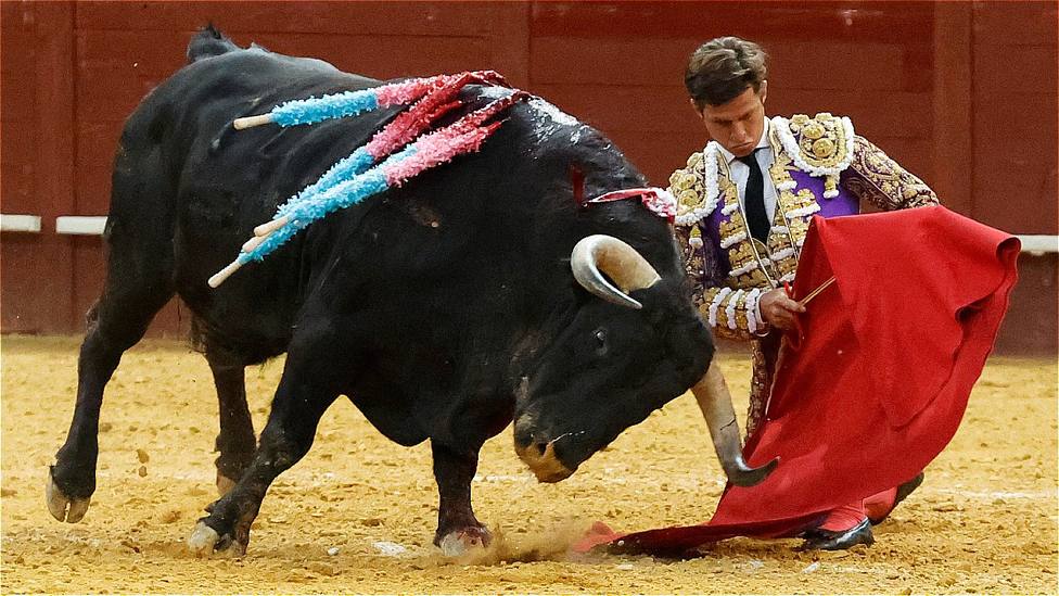 El toro Tabernero de Garcigrande durante la faena que realizó El Juli en el Palacio Vistalegre