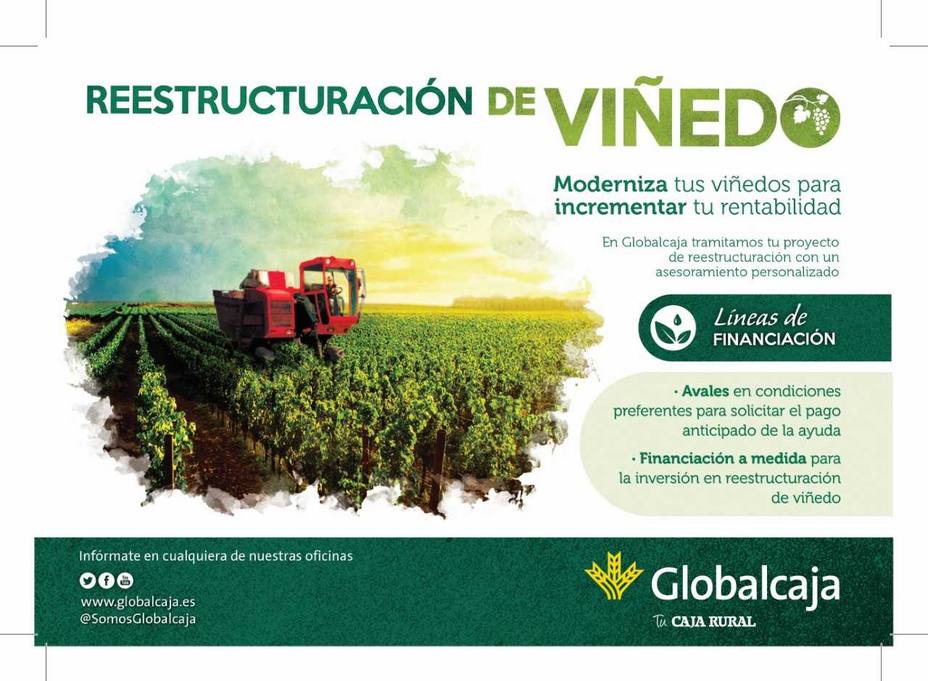 GLOBALCAJA responde y se compromete con el sector agrario, en la reestructuración y reconversión del viñedo