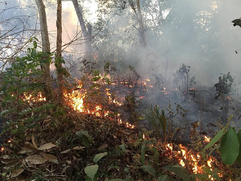Macron y Bolsonaro, a la gresca por el incendio en la Amazonia