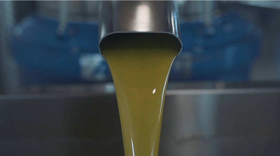 ¿Cuáles son los mejores aceites de oliva extra por países?