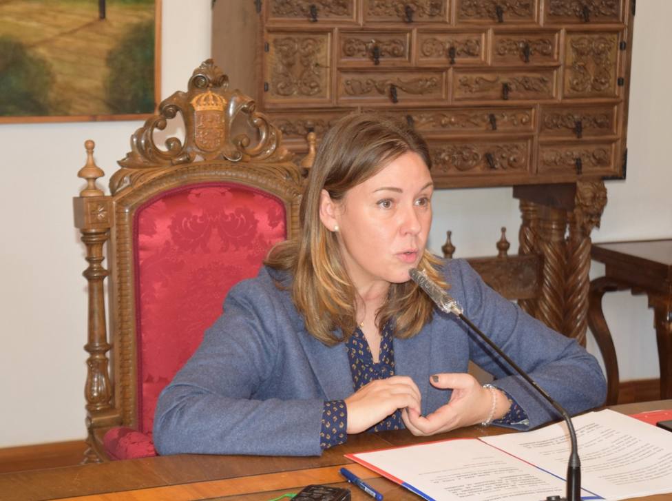 Contratada por 530.000 euros la renovación del alumbrado en 38 municipios de Lugo