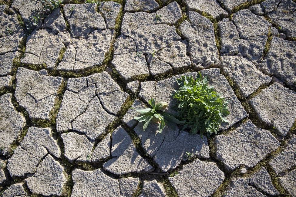 La UE aboga por repartir 250 millones de ayuda entre países afectados por la sequía como España