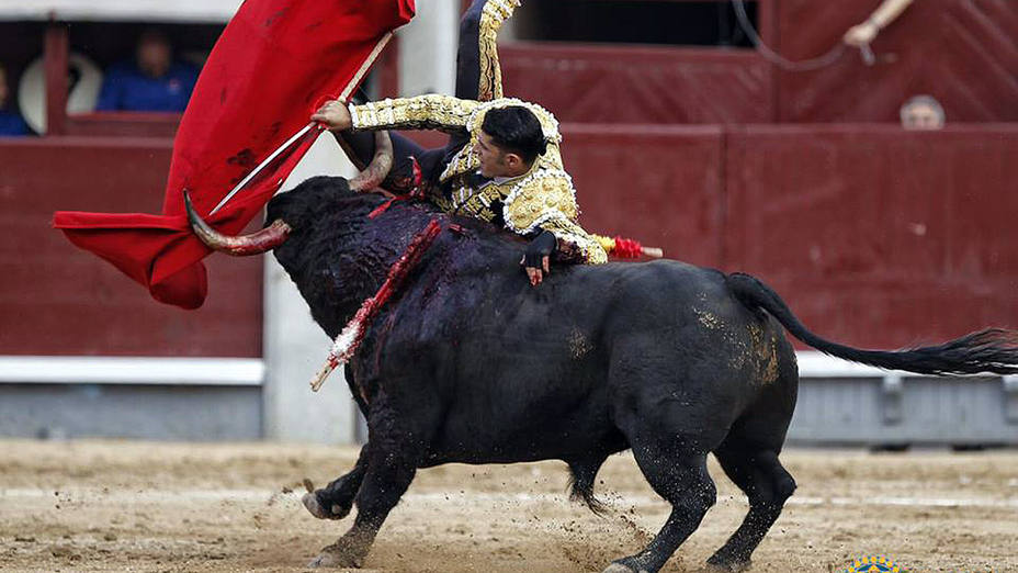 Instante de la cogida sufrida por Alejandro Talavante por el segundo toro de su lote.