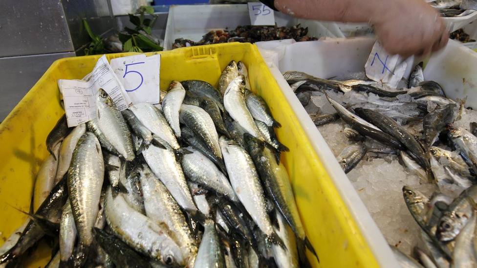 ¿Qué pasos se deben seguir para evitar el anisakis en el pescado que consumimos?