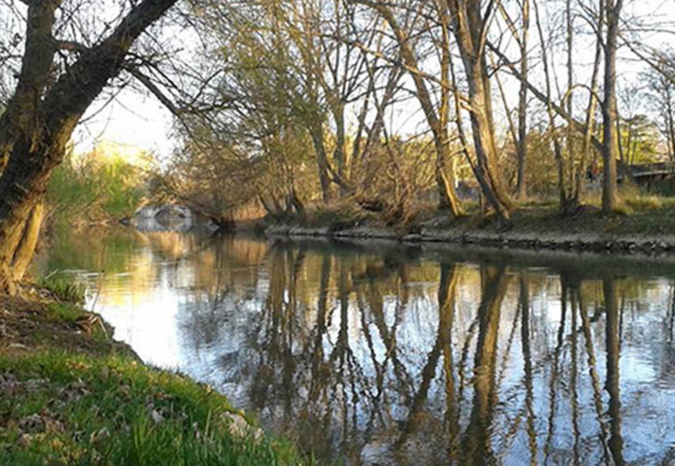 Río Carrion a su paso por Palencia