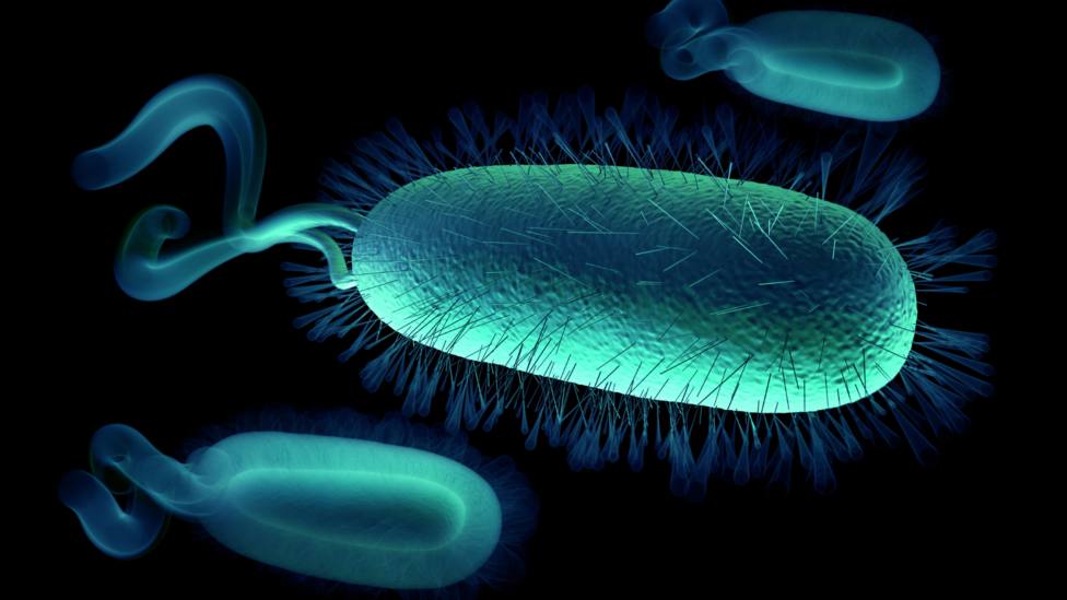 Qué síntomas tiene una infección por Helicobacter pylori, la bacteria que afecta a la mitad de los españoles
