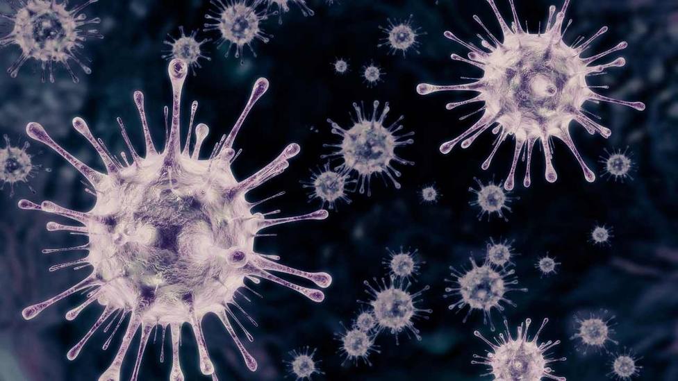 ¿Hay riesgo de una nueva pandemia? El virus de hace 50 mil años que han descubierto y sigue siendo infeccioso