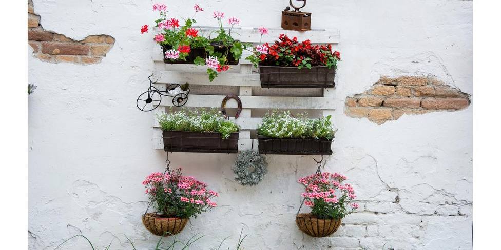 Ideas originales y sencillas para decorar pequeños espacios de tu casa con plantas y flores