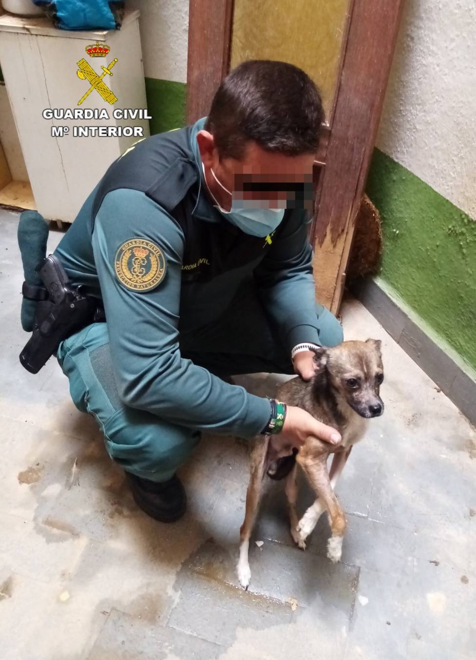 La Guardia Civil rescata a un perro desnutrido de un domicilio de Águilas