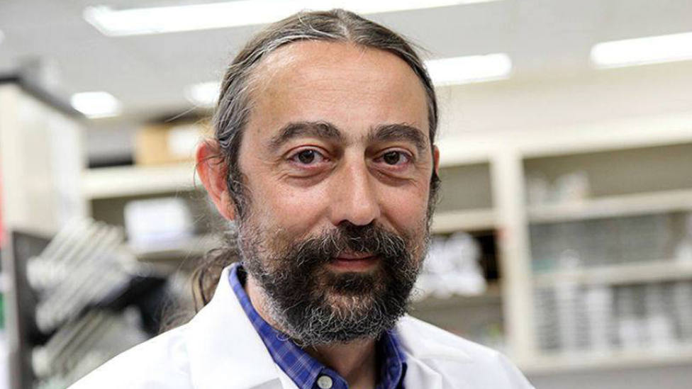 El virólogo García Sastre fija la fecha en la que se empezará a recuperar la normalidad: No se puede antes