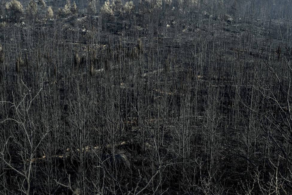 Otro incendio en Ourense eleva a seis los fuegos que queman 3.380 hectáreas