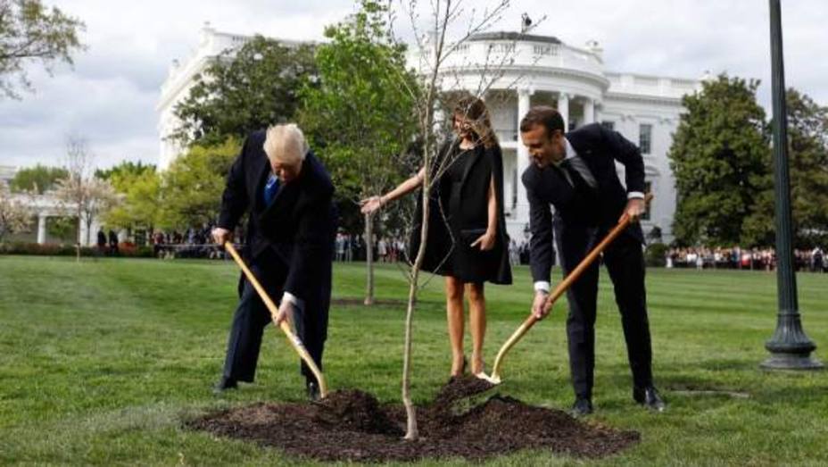 Macron y Trump plantan roble en la Casa Blanca