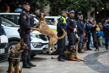 ctv-otl-perros-policia