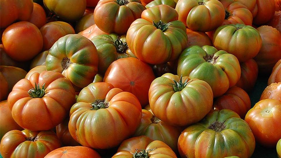 El tomate se come de muchas maneras y hay muchos tipos variados donde elegir.