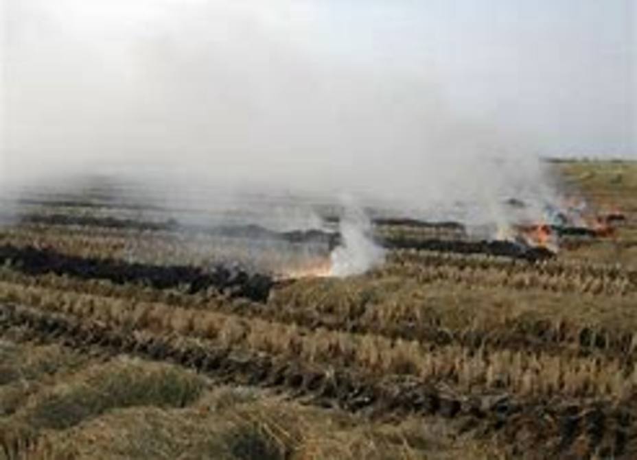 quema de la paja del arroz en La Albufera
