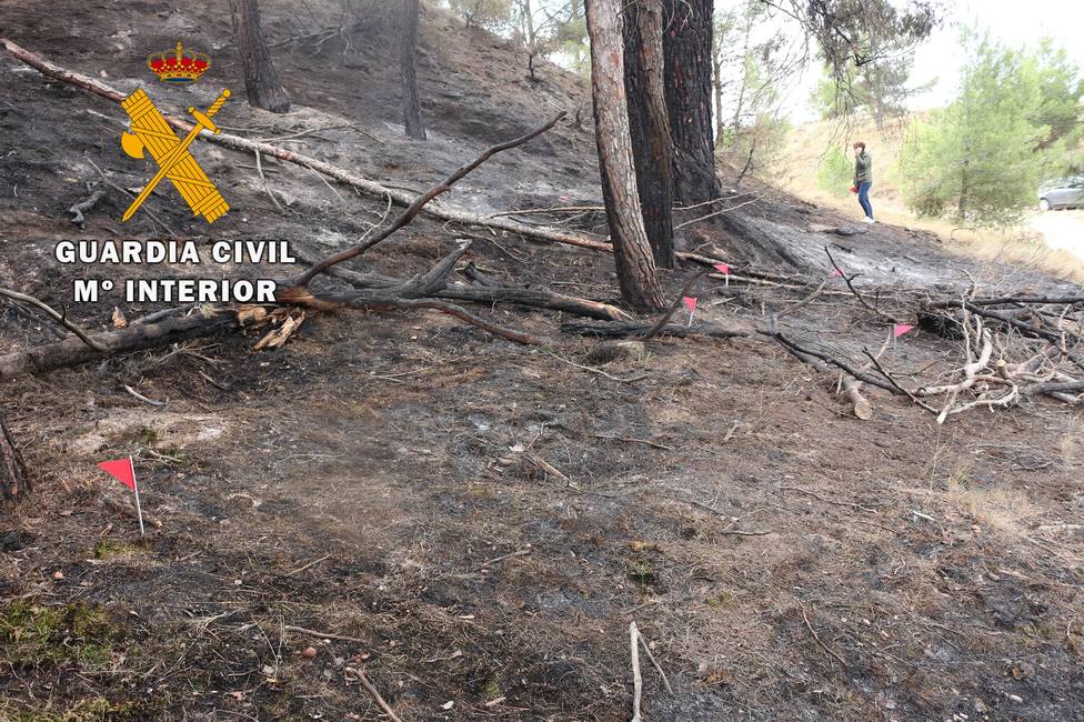 Identificado el supuesto autor de cinco incendios provocados en Tierra Estella en 2018