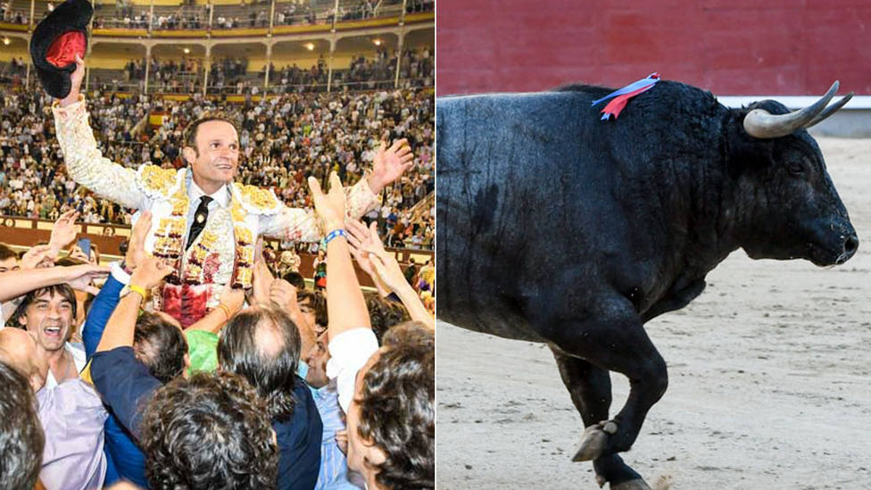 El torero Antonio Ferrera y el toro Carasucia de Valdellán, XXI Premios Taurinos de Telemadrid