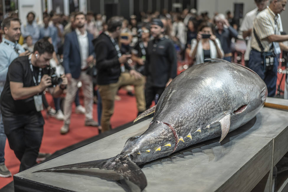 Fuentes, el atún rojo que conquista el mundo