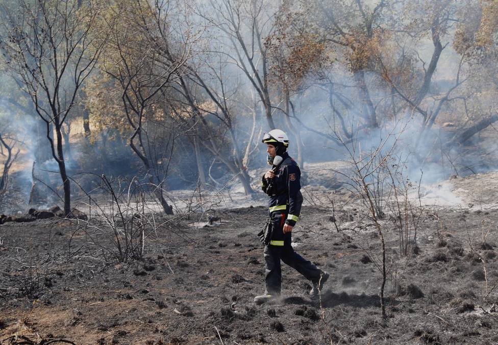 Agricultura destina 1,4 millones a paliar los efectos del fuego en Madrid, C-LM y CyL