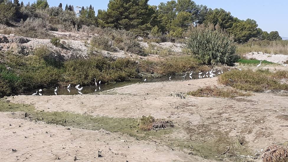 El río Mijares se queda sin caudal ecológico