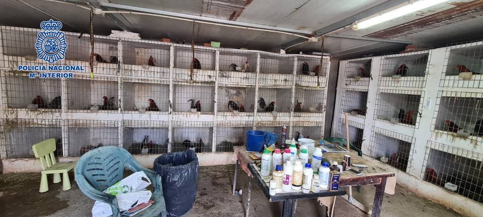 Desarticulada una organización criminal que distribuía cocaína y organizaba peleas de gallos