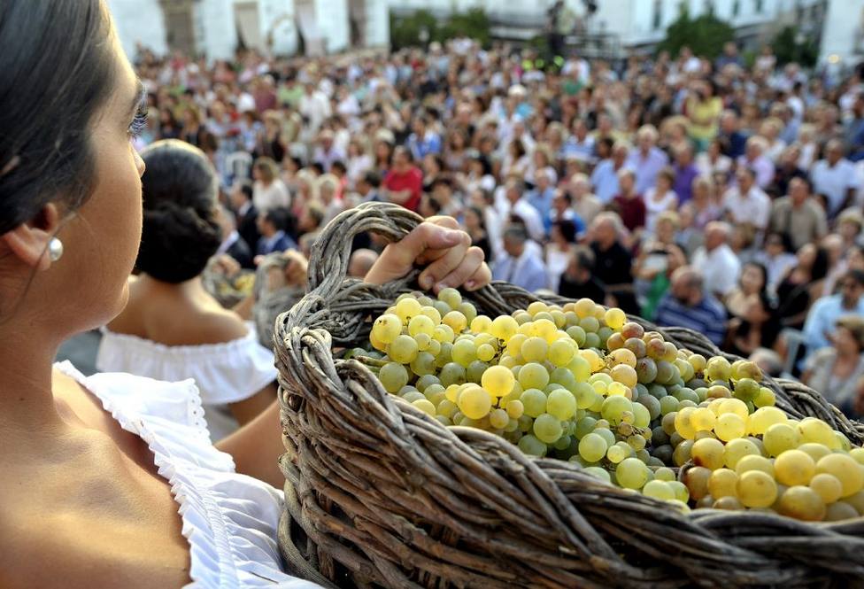 Unas 80 actividades para festejar en Jerez la llegada del nuevo mosto