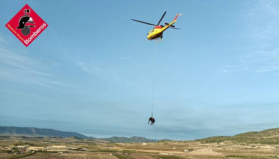 Rescatan a una yegua en Pinoso tras quedar atrapada en una zanja de varios metros