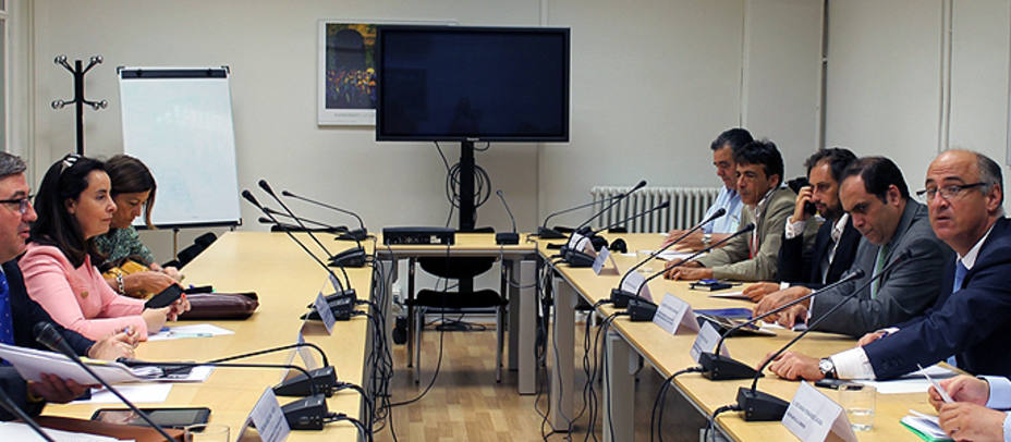 Reunión de la Comisión Ejecutiva de Asuntos Taurinos celebrada este viernes. MECD