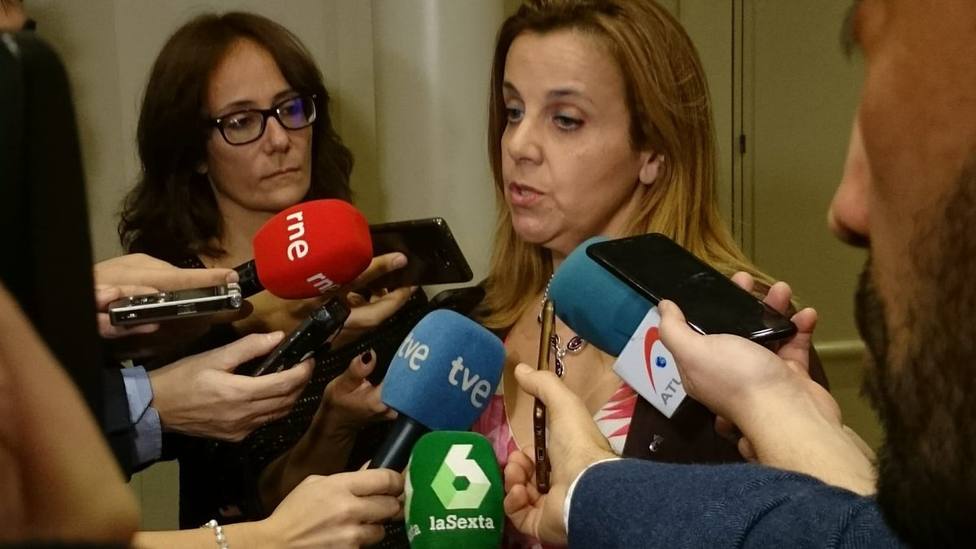 El Senado insta al Gobierno a no transferir al País Vasco competencias contempladas en el Estatuto de Guernica