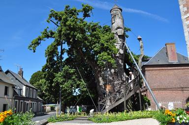 La curiosa historia del árbol francés que tiene dos capillas