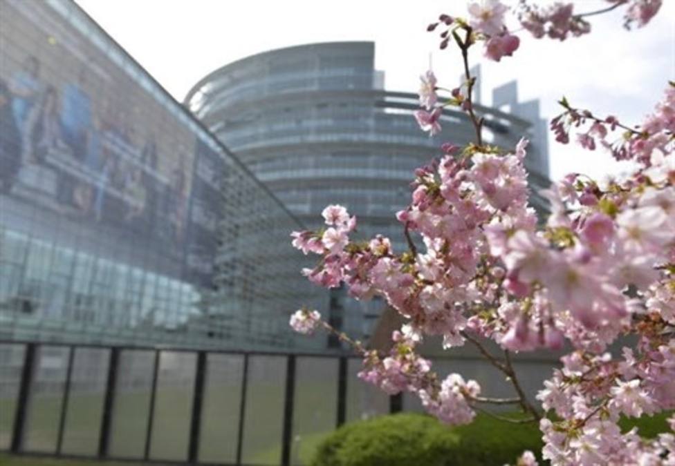 Eurodiputados del PP solicitan que se estudie si el vertedero de Zaldibar cumplía la normativa europea